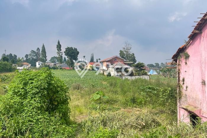 Kavling Tanah untuk Dijual di Ciherang, Cianjur, Luas 5350m2 Kavling Tanah untuk Dijual di Ciherang, Cianjur, Luas 5350m2