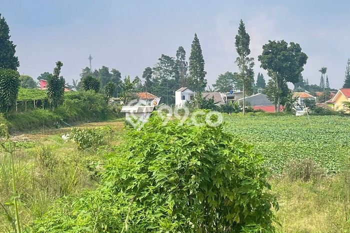 Kavling Tanah untuk Dijual di Ciherang, Cianjur, Luas 5350m2 Kavling Tanah untuk Dijual di Ciherang, Cianjur, Luas 5350m2