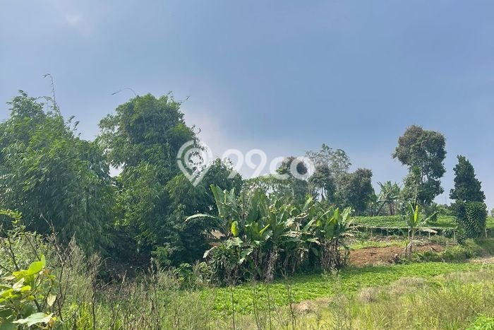 Kavling Tanah untuk Dijual di Ciherang, Cianjur, Luas 5350m2 Kavling Tanah untuk Dijual di Ciherang, Cianjur, Luas 5350m2