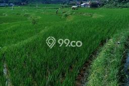Tanah di Ciwidey, Bandung Luas 25500m2 Dijual Segera Tanah di Ciwidey, Bandung Luas 25500m2 Dijual Segera