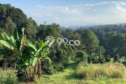 Untuk Dijual Tanah di Bandung, Luas 1580m2 SHM Untuk Dijual Tanah di Bandung, Luas 1580m2 SHM