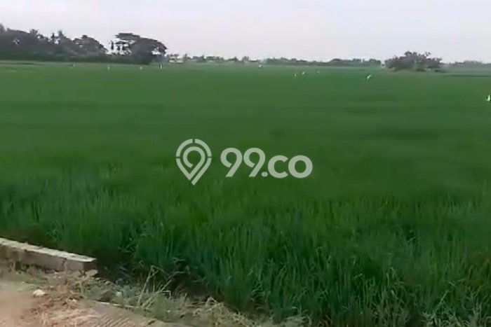 Untuk Dijual Tanah di Sepatan Tangerang Luas 50000m2 SHM Untuk Dijual Tanah di Sepatan Tangerang Luas 50000m2 SHM