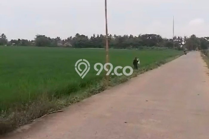 Untuk Dijual Tanah di Sepatan Tangerang Luas 50000m2 SHM Untuk Dijual Tanah di Sepatan Tangerang Luas 50000m2 SHM