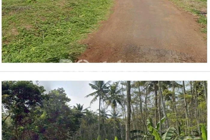 Tanah Kavling di Tulis Dijual dengan Luas 200000m2 Tanah Kavling di Tulis Dijual dengan Luas 200000m2