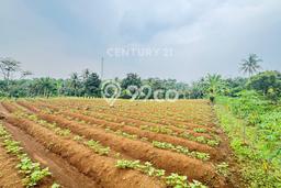 Tanah Strategis Dijual di Ciampea Bogor 3400m2 Tanah Strategis Dijual di Ciampea Bogor 3400m2