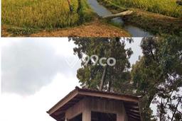 Tanah di Mijen, Semarang Luas 8200m2 Dijual Segera Tanah di Mijen, Semarang Luas 8200m2 Dijual Segera