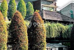 Rumah Luxury Modern Tanpa Renovasi di Pulomas Jakarta Timur Rumah Luxury Modern Tanpa Renovasi di Pulomas Jakarta Timur