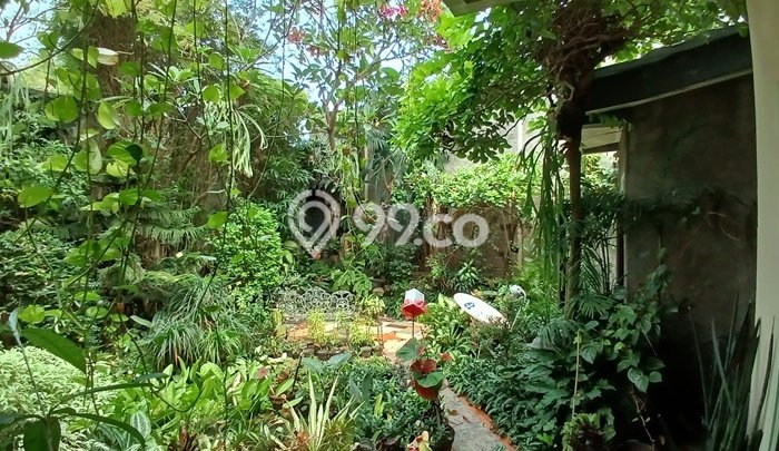 Untuk Dijual Kost di Tanah Abang, Jakarta Pusat, 34 KT, 16 KM, Luas 1350m2 Untuk Dijual Kost di Tanah Abang, Jakarta Pusat, 34 KT, 16 KM, Luas 1350m2