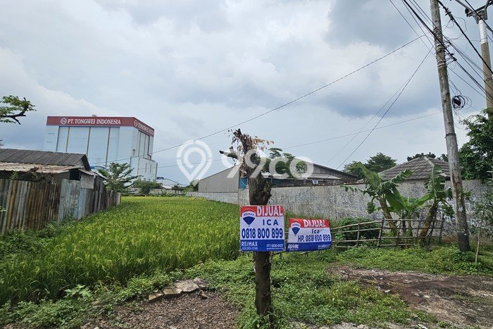 Jarang Ada! Tanah di Campaka Punya Luas 45020m2 - Jarang Ada! Tanah di Campaka Punya Luas 45020m2 -