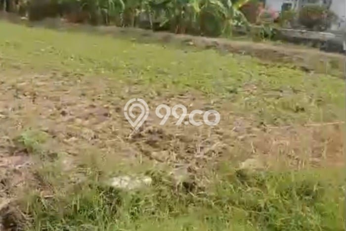 Kavling Tanah Dijual di Kedamean Gresik Spesifikasi 144m2 Kavling Tanah Dijual di Kedamean Gresik Spesifikasi 144m2