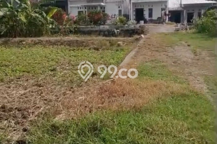 Kavling Tanah Dijual di Kedamean Gresik Spesifikasi 144m2 Kavling Tanah Dijual di Kedamean Gresik Spesifikasi 144m2
