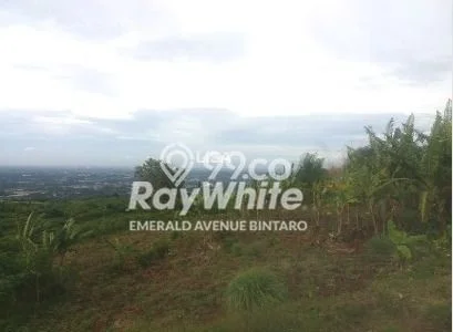 Tanah Investasi Dijual di Bogor Punya Luas 993800m2 Tanah Investasi Dijual di Bogor Punya Luas 993800m2