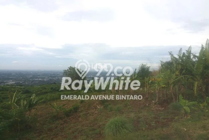 Tanah Investasi Dijual di Bogor Punya Luas 993800m2 Tanah Investasi Dijual di Bogor Punya Luas 993800m2