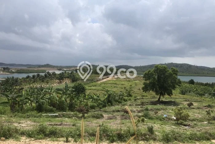 Tanah Dijual Lokasi Galang, Batam dengan Luas Tanah 192000m2 dan Status - Tanah Dijual Lokasi Galang, Batam dengan Luas Tanah 192000m2 dan Status -