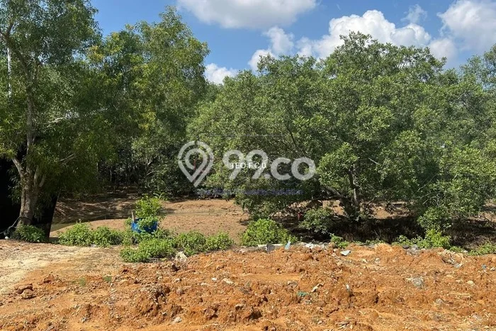 Tanah Kosong Dijual di Batam dengan Area 12615m2 Tanah Kosong Dijual di Batam dengan Area 12615m2