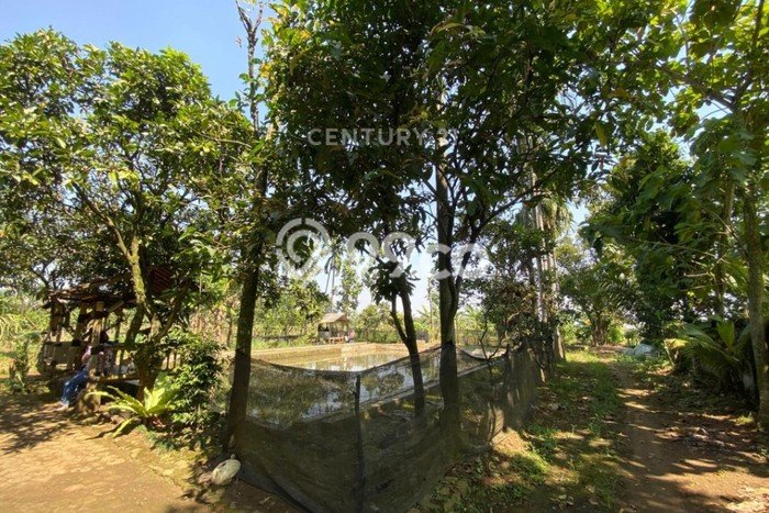Untuk Dijual Tanah di Bogor, Luas 9385m2 SHM Untuk Dijual Tanah di Bogor, Luas 9385m2 SHM
