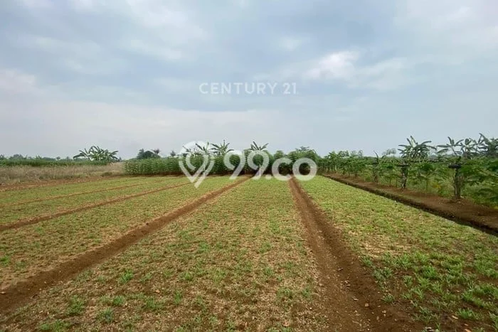 Untuk Dijual Tanah di Bogor, Luas 9385m2 SHM Untuk Dijual Tanah di Bogor, Luas 9385m2 SHM