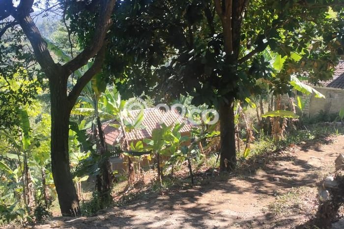 Tanah Kavling untuk Dijual di Lembang Bandung Barat 2300m2 Tanah Kavling untuk Dijual di Lembang Bandung Barat 2300m2