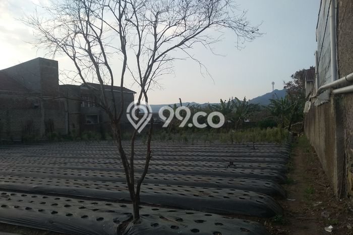 Kavling Tanah Dijual di Lembang Bandung Barat Spesifikasi 1851m2 Kavling Tanah Dijual di Lembang Bandung Barat Spesifikasi 1851m2