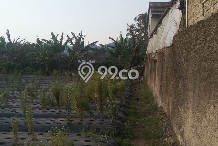 Kavling Tanah Dijual di Lembang Bandung Barat Spesifikasi 1851m2 Kavling Tanah Dijual di Lembang Bandung Barat Spesifikasi 1851m2
