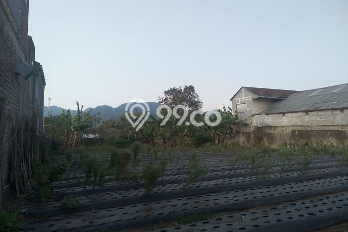 Kavling Tanah Dijual di Lembang Bandung Barat Spesifikasi 1851m2 Kavling Tanah Dijual di Lembang Bandung Barat Spesifikasi 1851m2