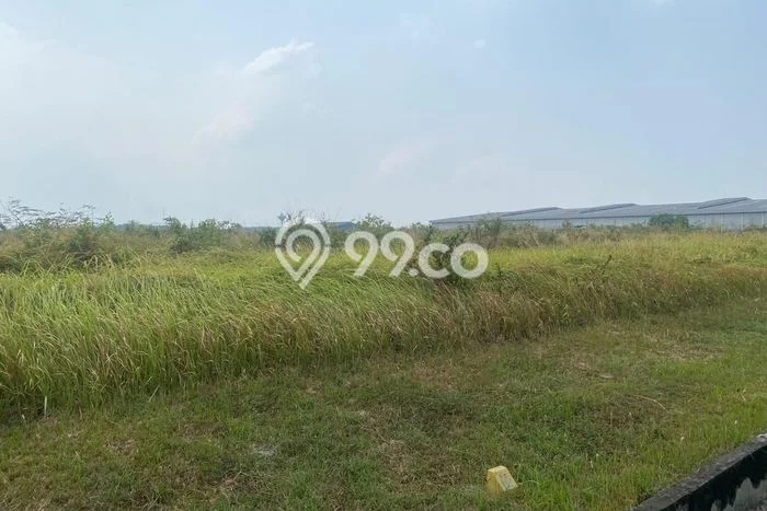 Dijual Tanah di Karawang Timur Karawang Luas 50000m2 - Dijual Tanah di Karawang Timur Karawang Luas 50000m2 -
