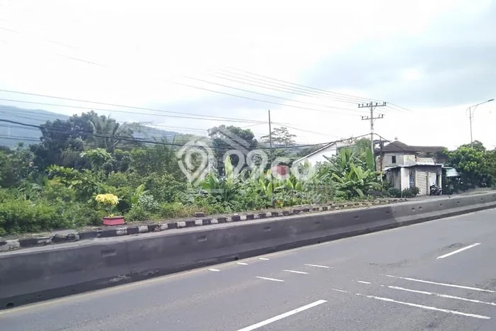 Kavling Tanah di Ungaran Timur Dijual Luas 1704m2 Legalitas SHM Kavling Tanah di Ungaran Timur Dijual Luas 1704m2 Legalitas SHM