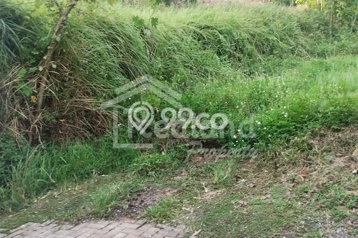 Tanah untuk Dijual Lokasi Semarang Barat, Semarang Luas 384m2 SHM Tanah untuk Dijual Lokasi Semarang Barat, Semarang Luas 384m2 SHM