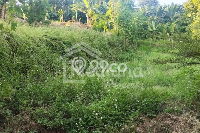 Tanah untuk Dijual Lokasi Semarang Barat, Semarang Luas 384m2 SHM Tanah untuk Dijual Lokasi Semarang Barat, Semarang Luas 384m2 SHM