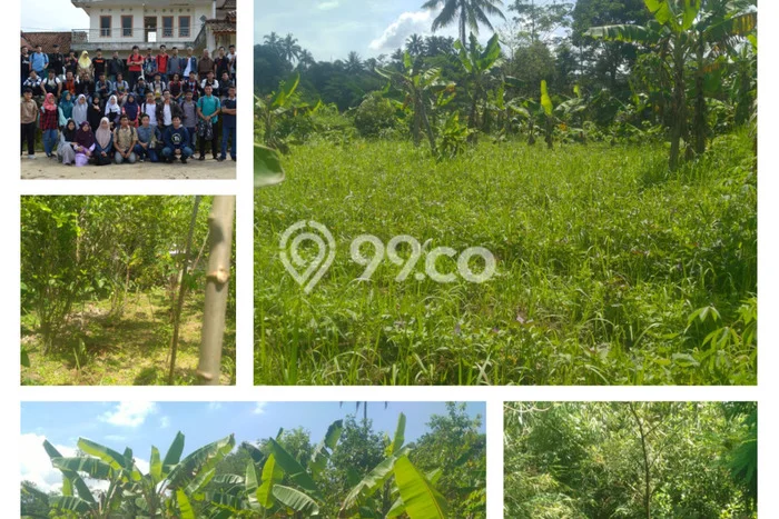 Lahan Dijual Lokasi Nagrak, Sukabumi dengan Luas Tanah 18846m2 dan Status SHM Lahan Dijual Lokasi Nagrak, Sukabumi dengan Luas Tanah 18846m2 dan Status SHM