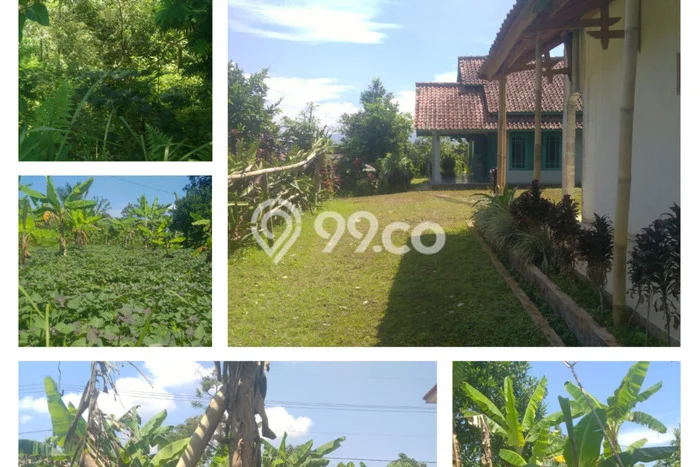 Lahan Dijual Lokasi Nagrak, Sukabumi dengan Luas Tanah 18846m2 dan Status SHM Lahan Dijual Lokasi Nagrak, Sukabumi dengan Luas Tanah 18846m2 dan Status SHM