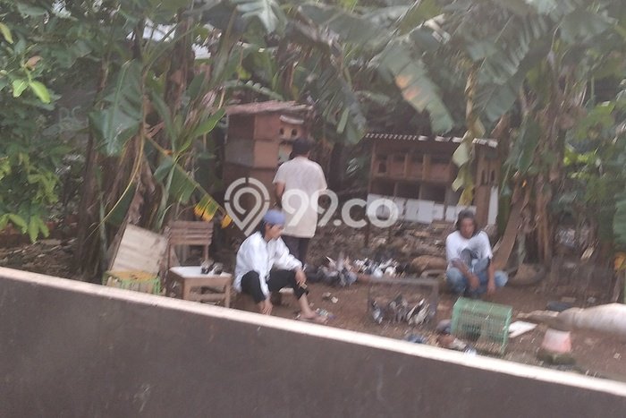 Lahan Kosong Dijual di Jakarta Timur dengan Area 982m2 Lahan Kosong Dijual di Jakarta Timur dengan Area 982m2