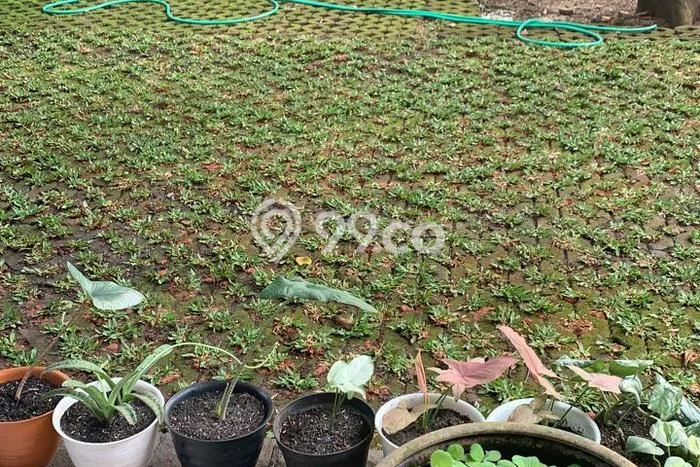 Sewa Rumah Nyaman LT 1445m2 / LB 350m2 di Jatiwarna, Bekasi Sewa Rumah Nyaman LT 1445m2 / LB 350m2 di Jatiwarna, Bekasi
