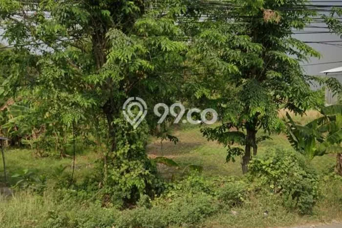 Tanah Komersial Dijual di Kedamean Gresik 1427m2 Tanah Komersial Dijual di Kedamean Gresik 1427m2
