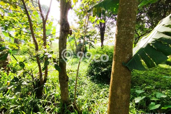 Lahan Dijual Lokasi Strategis di Bandung dengan Luas 269m2 Lahan Dijual Lokasi Strategis di Bandung dengan Luas 269m2