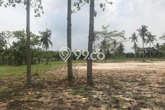 LOKASI STRATEGIS! Tanah Kawasan Sei Suka, Luas 17500m², Lingkungan Nyaman, Cocok untuk Hunian LOKASI STRATEGIS! Tanah Kawasan Sei Suka, Luas 17500m², Lingkungan Nyaman, Cocok untuk Hunian