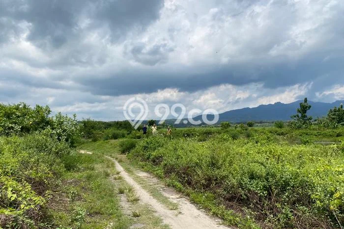 Lahan untuk Dijual di Kragan Rembang Luas 200000m2 Lahan untuk Dijual di Kragan Rembang Luas 200000m2