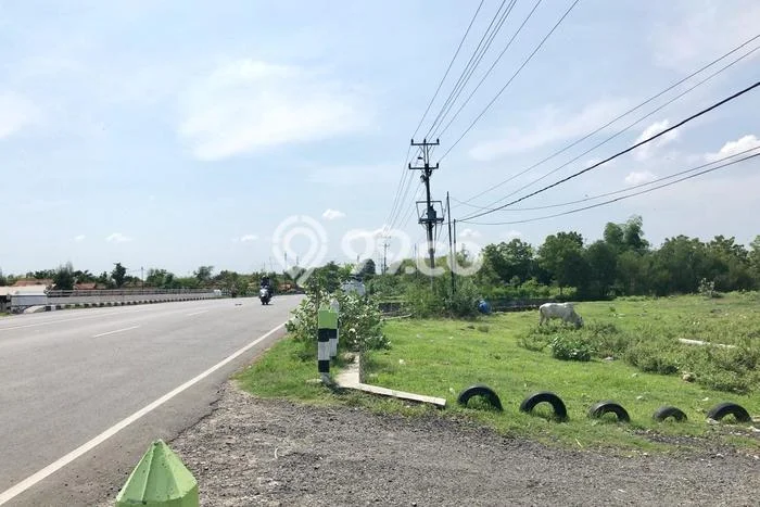 Lahan untuk Dijual di Kragan Rembang Luas 200000m2 Lahan untuk Dijual di Kragan Rembang Luas 200000m2