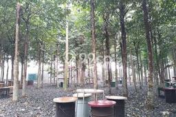 Kavling Tanah Dijual di Pagedangan Tangerang Spesifikasi 2204m2 Kavling Tanah Dijual di Pagedangan Tangerang Spesifikasi 2204m2