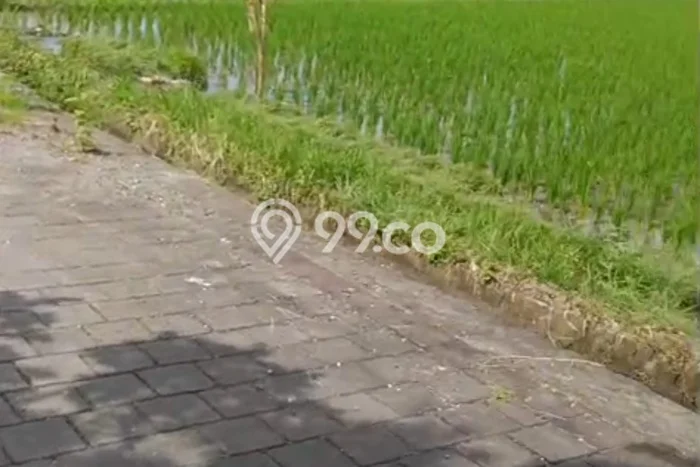 Tanah Dijual Area Strategis di Nyitdah Tabanan 4600m2 Tanah Dijual Area Strategis di Nyitdah Tabanan 4600m2
