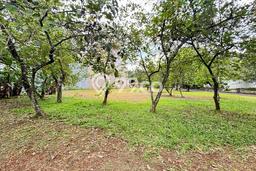 Tanah Kavling Dijual di Grand Wisata, Bekasi dengan Luas Tanah 225m2 Tanah Kavling Dijual di Grand Wisata, Bekasi dengan Luas Tanah 225m2