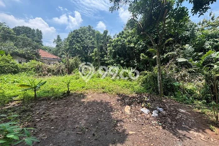 Tanah di Setu, Bekasi Luas 1300m2 Dijual Segera Tanah di Setu, Bekasi Luas 1300m2 Dijual Segera