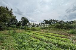 Tanah Disewa Strategis di Bekasi Luas 29000m2 Tanah Disewa Strategis di Bekasi Luas 29000m2