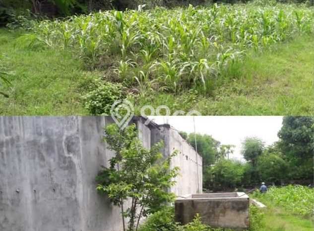 Lahan Kosong Dijual di Buleleng dengan Area 1200m2 Lahan Kosong Dijual di Buleleng dengan Area 1200m2