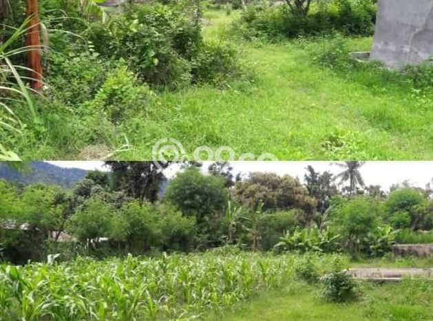 Lahan Kosong Dijual di Buleleng dengan Area 1200m2 Lahan Kosong Dijual di Buleleng dengan Area 1200m2