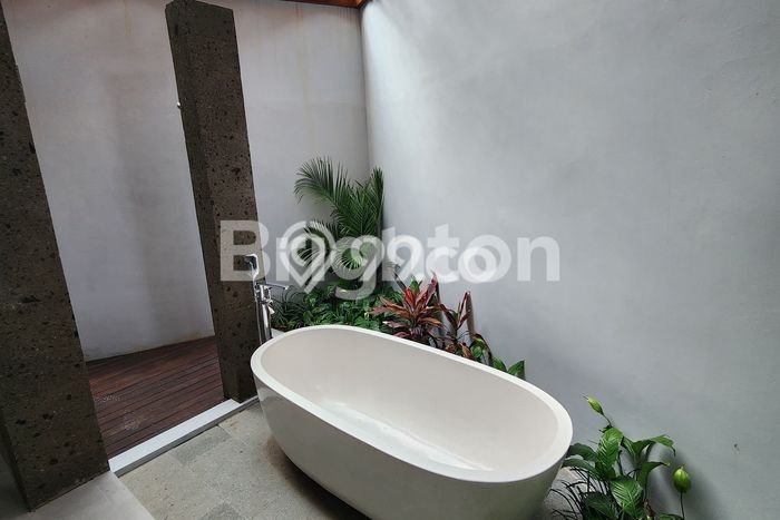 Peluang Langka! Vila di Canggu, Dimensi 304m², Kawasan Berkembang dengan nilai naik Peluang Langka! Vila di Canggu, Dimensi 304m², Kawasan Berkembang dengan nilai naik