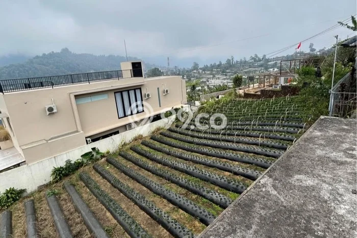 Tanah Investasi Dijual di Tabanan Punya Luas 1400m2 Tanah Investasi Dijual di Tabanan Punya Luas 1400m2
