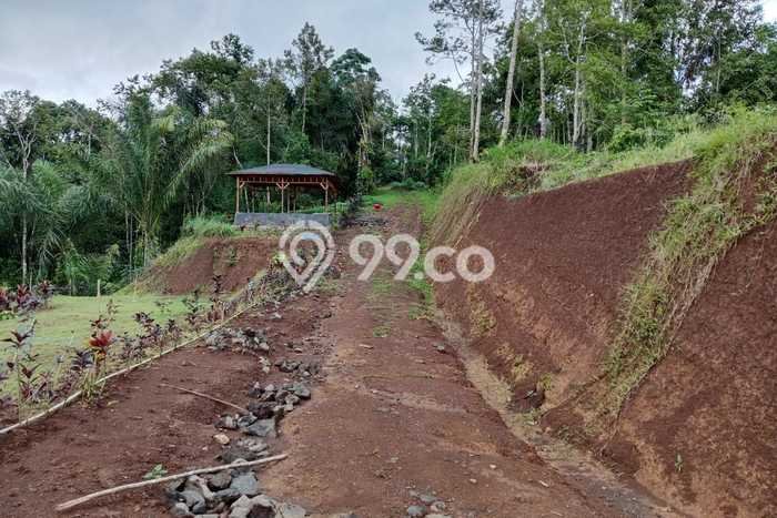 Tanah Strategis Dijual di Penebel Tabanan 500m2 Tanah Strategis Dijual di Penebel Tabanan 500m2
