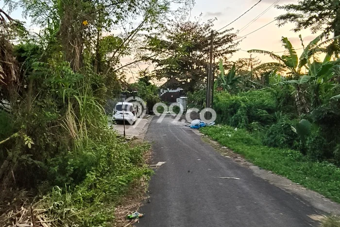 Tanah Dijual Lokasi Strategis di Tabanan dengan Luas 319m2 Tanah Dijual Lokasi Strategis di Tabanan dengan Luas 319m2