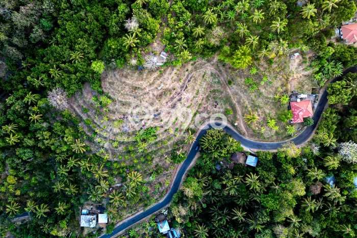 Tanah Dijual Lokasi Madenan, Buleleng dengan Luas Tanah 10000m2 dan Status SHM Tanah Dijual Lokasi Madenan, Buleleng dengan Luas Tanah 10000m2 dan Status SHM